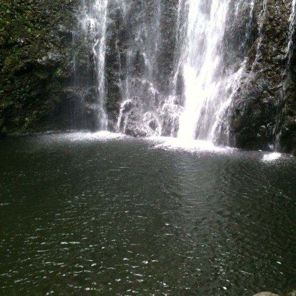 🌴 THE ROAD TO HANA IN MAUI - Picture 5 of 7